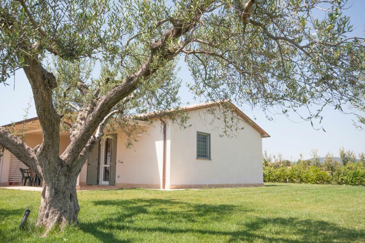 פשיה רומנה Agriturismo Il Mirto מראה חיצוני תמונה