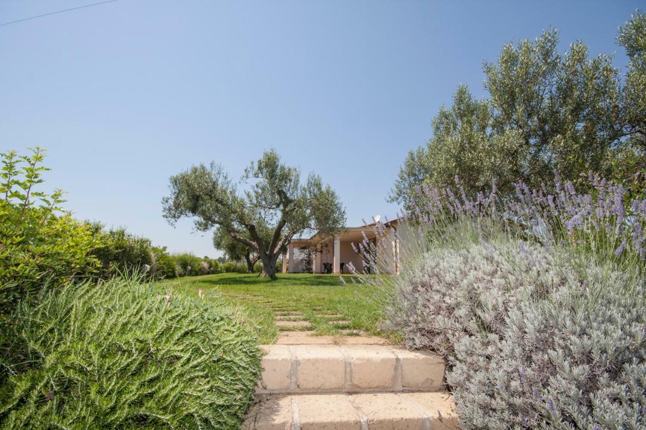 פשיה רומנה Agriturismo Il Mirto מראה חיצוני תמונה